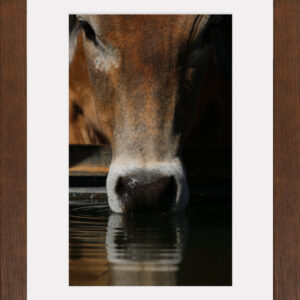 Watering A3 Framed Print